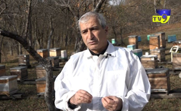 Մեսխական մեղրի ճանապարհը դեպի եվրոպական շուկա