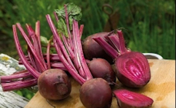 ჭარხლი - ქოლესტერინთან მებრძოლი ბუნებრივი საშუალება