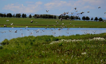 რატომ უნდა მოინახულოთ ჯავახეთის ტურისტული ადგილები? (ქვიზი)