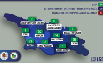 რეგიონში უკანონო ტყითსარგებლობის ფაქტები გამოვლინდა