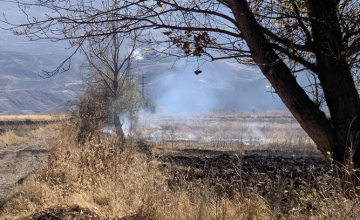 სოფელ ფარეხასთან ხანძარი იყო