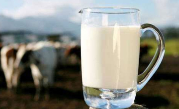 ზამთარში ნედლი რძე კიდევ გაძვირდება - ,,ყვარლის ბაგა“