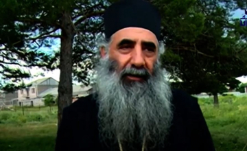 ძალადობა დასაგმობია და მაგრამ არ ჭირდება... როგორ არა, ზუსტად რომ ჭირდება - მეუფე თეოდორე