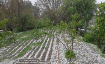 სეტყვამ ახალციხეში სამი სოფელი დააზარალა 