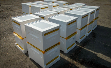 სახელმწიფო მეფუტკრეებს სკებსა და საჭირო ინვენტარს გადასცემს