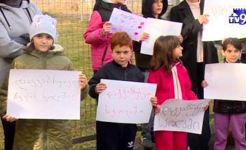 მეორე საჯარო სკოლასთან საპროტესტო აქცია გაიმართა