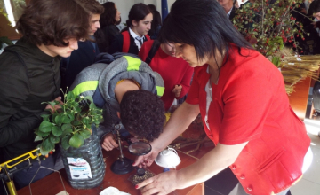 ახალციხეში მეცნიერებისა და ინოვაციების ფესტივალი გაიხსნა (ფოტო/ვიდეო)