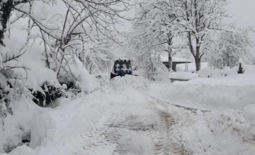 გურიაში, ახალციხიდან მოხალისეების კიდევ ერთი ჯგუფი წავიდა
