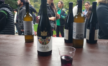 არქეოლოგიური კვლევებით მტკიცდება, რომ საქართველო ღვინის აკვანია" - ესპანური გამოცემა Vinos Y Camino