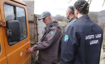 სამცხე-ჯავახეთში ხე-ტყის უკანონო მოპოვების ფაქტი გამოვლინდა