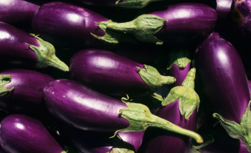 ბადრიჯანი კიბოს უჯრედებს ამცირებს