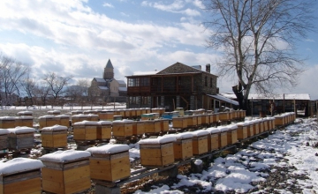 В ГРУЗИИ КЛАСС ПРОФЕССИОНАЛЬНЫХ ПЧЕЛОВОДОВ РАЗВИВАЕТСЯ, НЕСМОТРЯ НА ПРОБЛЕМЫ