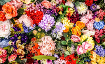 საქართველომ ერთ თვეში 1.355 მლნ დოლარის ყვავილები იყიდა