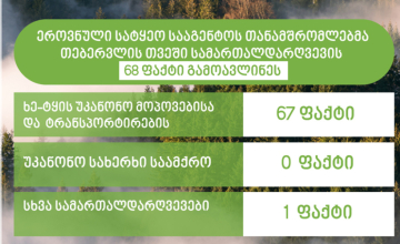 სამცხე-ჯავახეთში ხე-ტყის უკანონოდ მოპოვების 16 ფაქტი გამოვლინდა