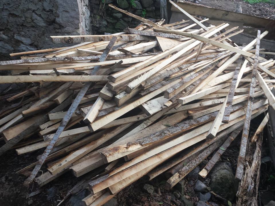 11987015_1305261966154885_5620879319168021174_n