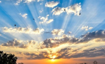 ჰაერში მყარი ნაწილაკების შემცველობის მატება ფიქსირდება