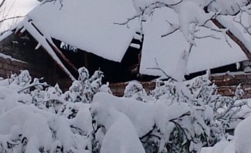 ბორჯომი, ახალციხე და ადიგენი სტიქიის სალიკვიდაციო სამუშაოებისთვის თანხას მიიღებენ