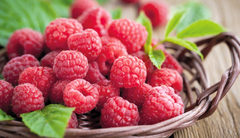 საქართელოში ჟოლოს სეზონი იწყება - რა ღირს პროდუქტი ბაზარზე