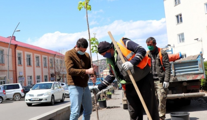 ქალაქ ახალციხეში ფოთლოვანი ხის ნერგები დარგეს (ფოტო)