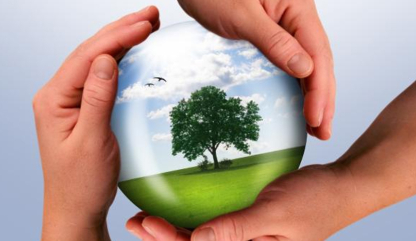 5 ივნისი – გარემოს დაცვის მსოფლიო დღე