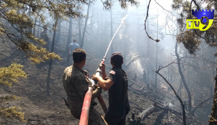 ბორჯომში, კვირიკეს ეკლესიასთან ხანძრის ახალი კერა გაჩნდა