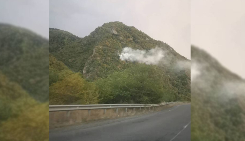 მაშველებმა ბორჯომის ხეობაში გაჩენილი ხანძრის ლოკალიზება შეძლეს