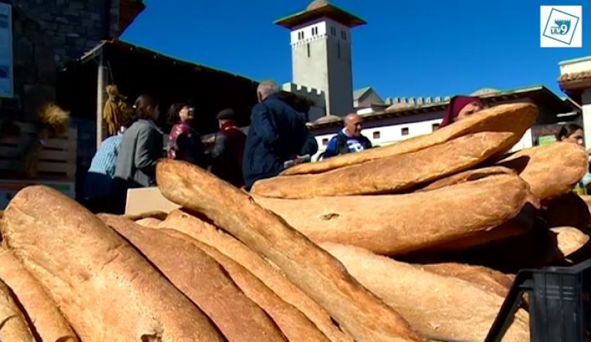 Կփոխվի արդյոք հացի գինը - Լևան Սիլագավա
