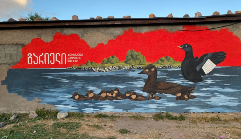 ტაბაწყურის ტბაზე კედელზე გარიელები დახატეს 