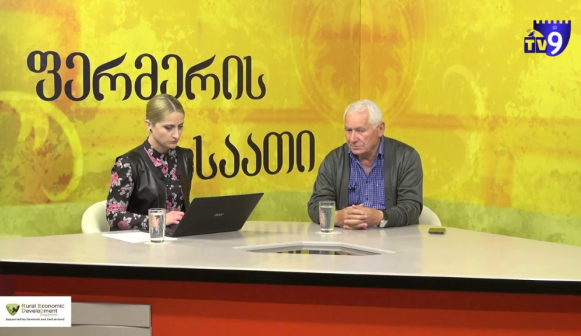 "ფერმერის საათი" – თევზის წარმოება და დარგის განვითარების ხელისშემშლელი ფაქტორები