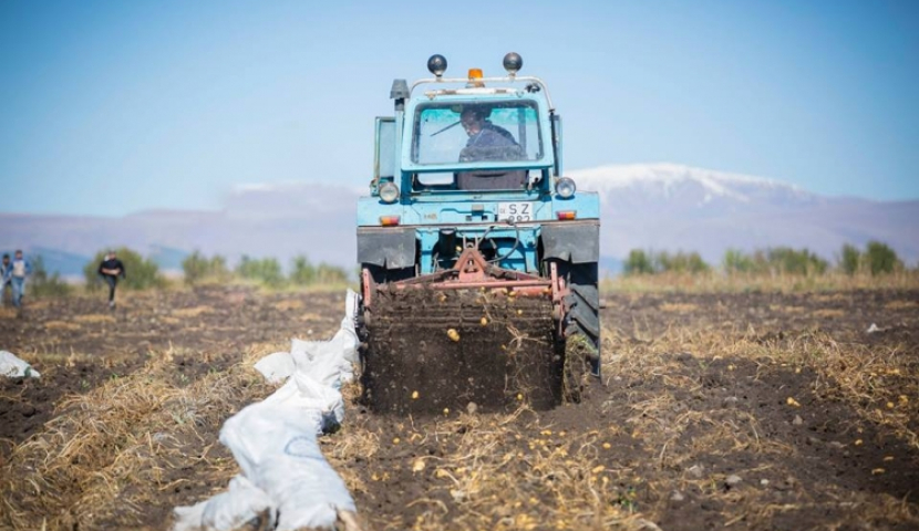 300 ათას ჰექტარზე მეტი მიწის ფართობი რეგისტრირებულია
