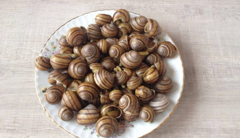 ლოკოკინა – დელიკატესი, რომელიც მესხეთში საუკუნეებს ითვლის