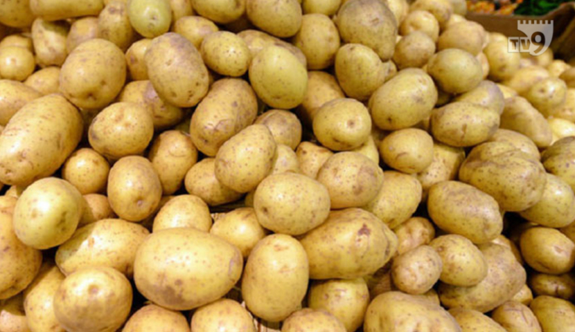 საქართველოში კარტოფილის ფასი მინიმუმამდე დაეცა