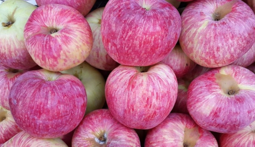 Պետությունը կսուբսիդավորի ֆերմերների խնձորը