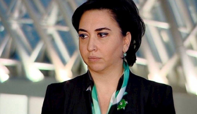 ,,პოლიტიკური აფიორა" - ეკა ბესელია კანონპროექტზე