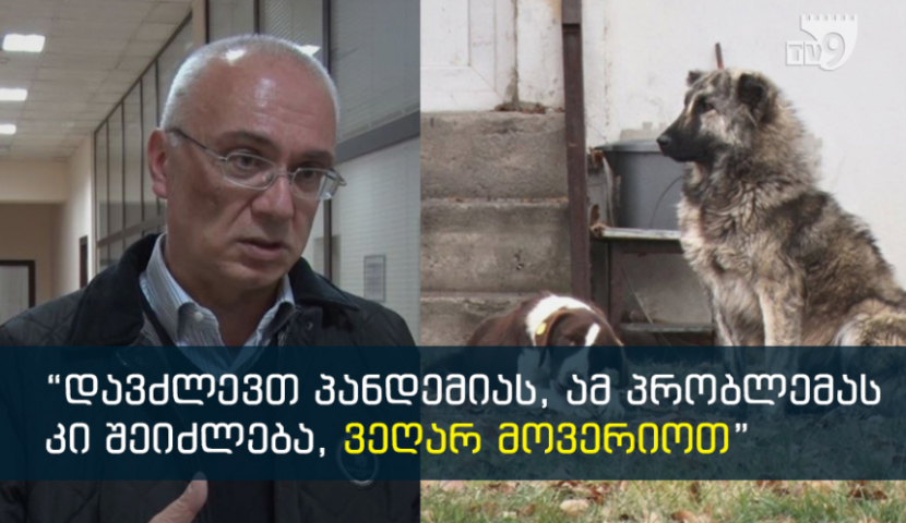სამცხე-ჯავახეთის ცხოველთა თავშესაფრის პროექტის თანაავტორი პრემიერ-მინისტრს ღია წერილით მიმართავს