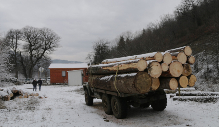 სამცხე-ჯავახეთში ხე-ტყის უკანონოდ მოპოვების შემთხვევა გამოვლინდა