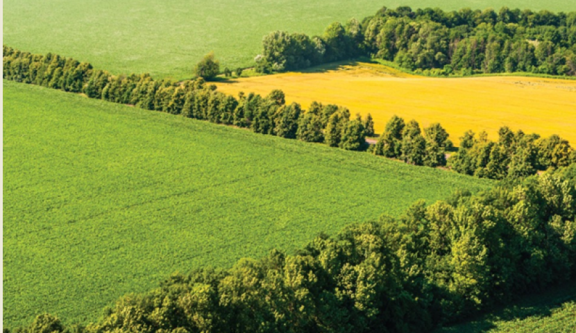 როგორ ვებრძოლოთ გაუდაბნოებასა და მცირემოსავლიანობას