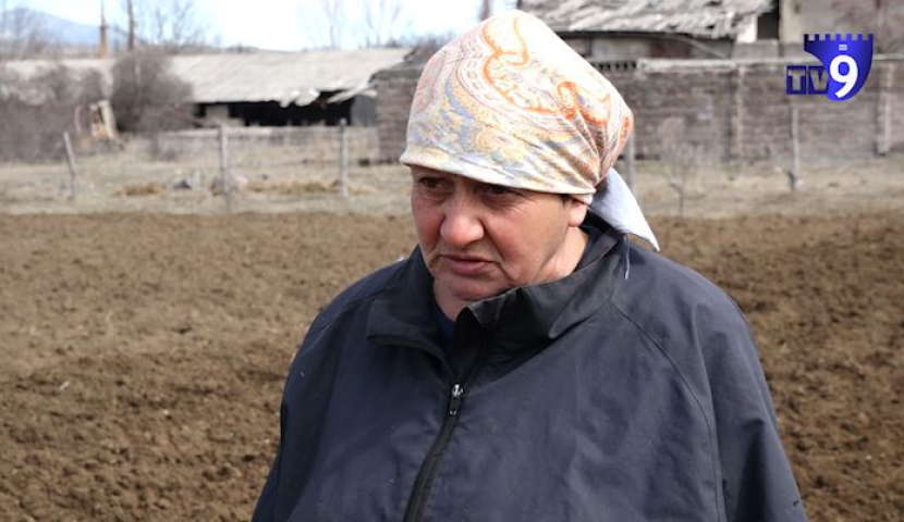 ხვნა-თესვა პანდემიის ვალის გასასტუმრებლად