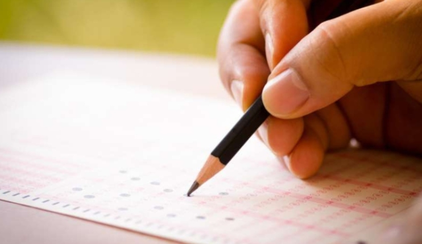 აბიტურიენტთა ბიოლოგიისა და ფიზიკის გამოცდის შედეგები  გამოქვეყნდა