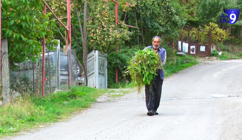 მიგრაცია - სოფელ სხვილისის მთავარი გამოწვევა