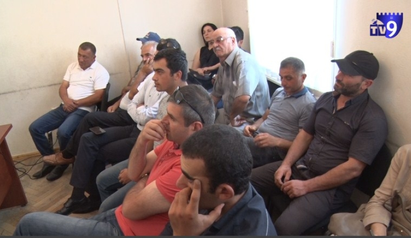 არაიდენტიფიცირებული ცხოველის რძეს საწარმოები აღარ ჩაიბარებენ