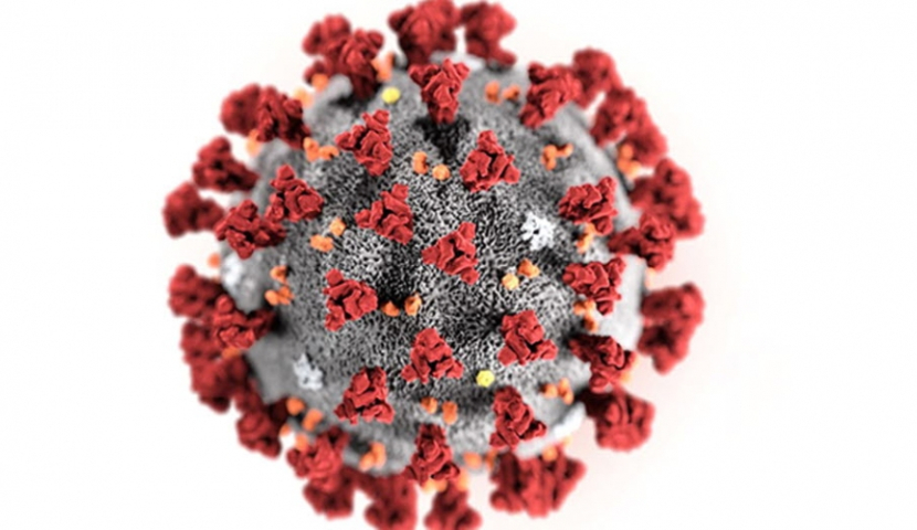 საქართველოში კორონავირუსით ინფიცირების 511 ახალი შემთხვევა დაფიქსირდა