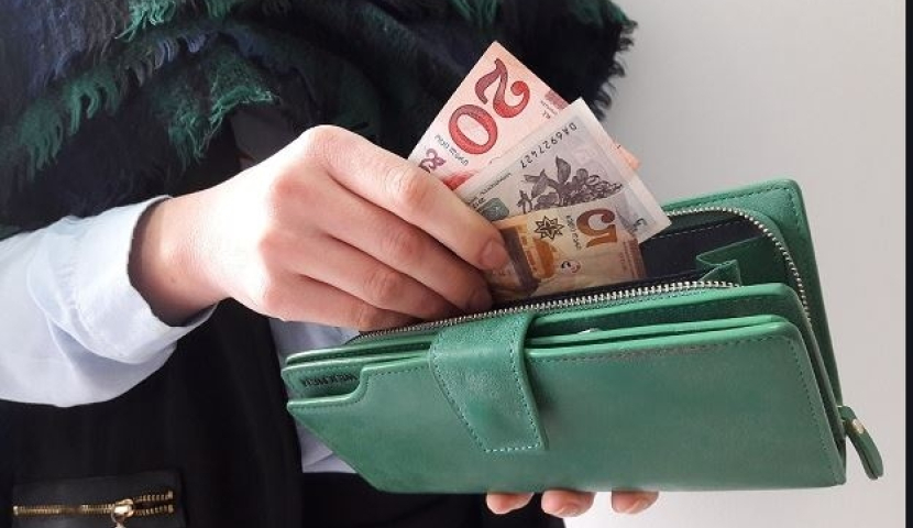 ფულადი დახმარებების გაცემას სახელმწიფო მომდევნო კვირიდან დაიწყებს