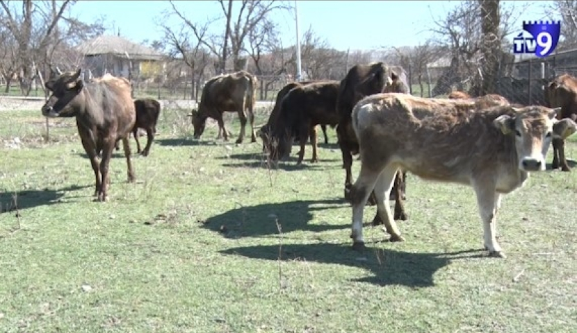 ახალციხელი ფერმერებისთვის საგრანტო კონკურსი გამოცხადდა