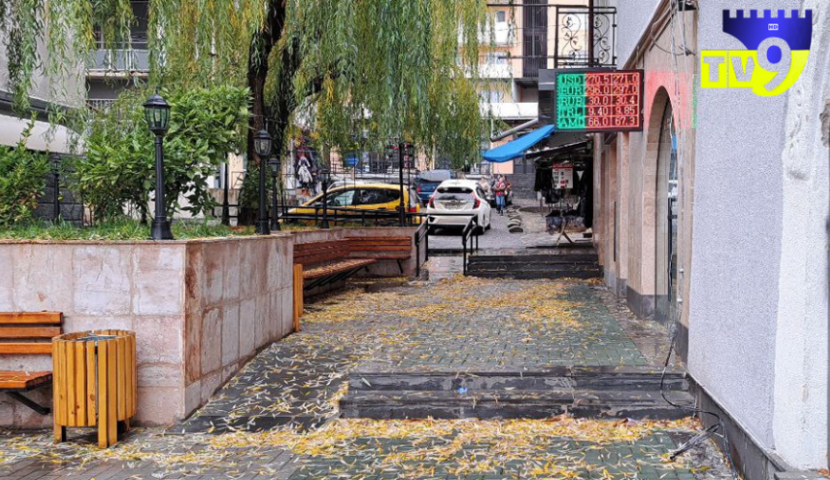 ეროვნულმა ბანკმა ხვალინდელი დღის ვალუტის კურსი დაადგინა