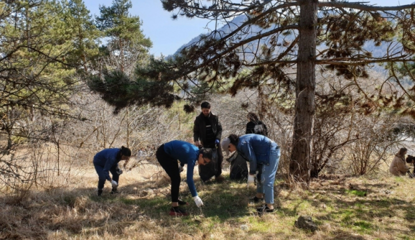 ახალგაზრდებმა სლესის ციხის მიმდებარე ტერიტორია დაასუფთავეს