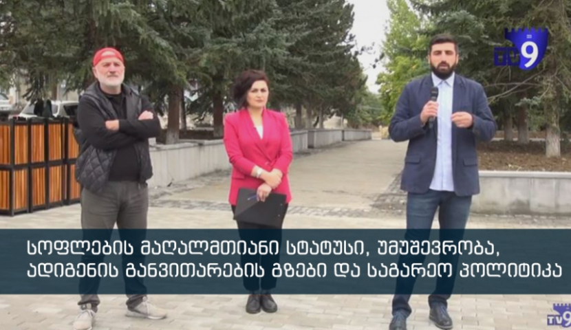 დიალოგი - მაჟორიტარი დეპუტატობის კანდიდატების საარჩევნო პროგრამა