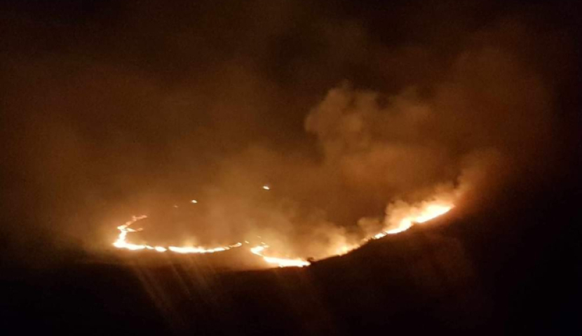 ბორჯომში ხანძარია, ცეცხლის ქრობის პროცესში ვერტმფრენები ჩაერთვებიან