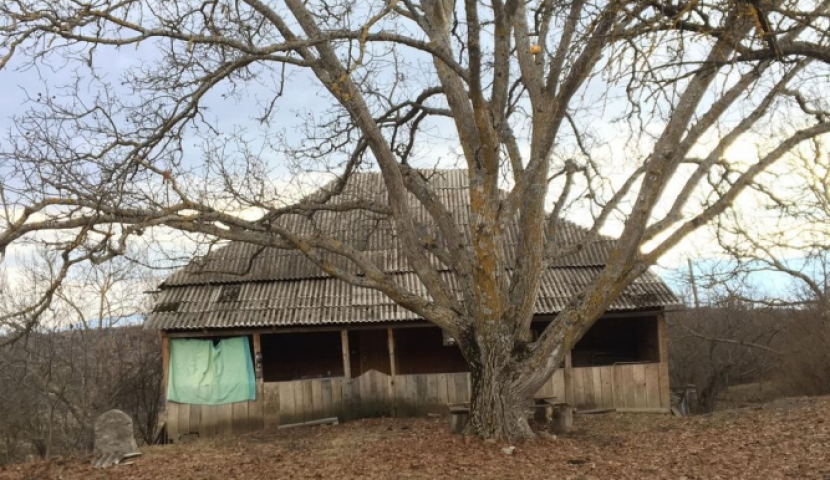 «Միայն ես եմ ապրում, գյուղից բոլորը գնացել են».  Անվերջ խնդիրներ