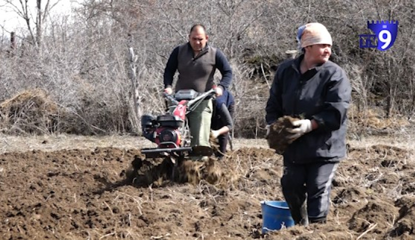 დიალოგი - საგაზაფხულო სამუშაოები და პრობლემები სოფლის მეურნეობაში
